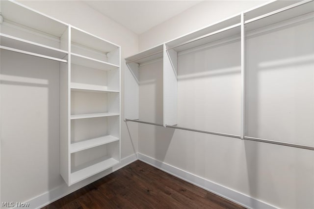 walk in closet featuring dark hardwood / wood-style flooring