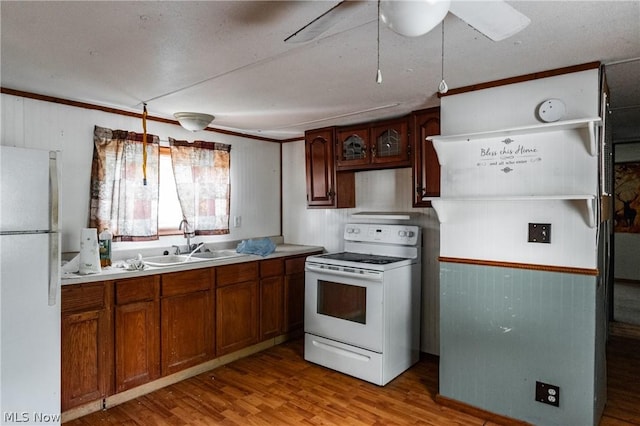 kitchen with sink, white appliances, wooden walls, and light hardwood / wood-style floors