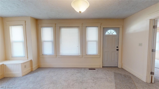 carpeted foyer featuring a wealth of natural light and a textured ceiling