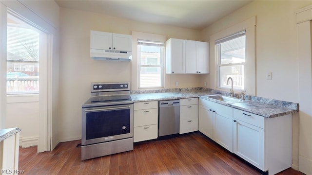 kitchen featuring white cabinetry, sink, dark wood-type flooring, and stainless steel appliances