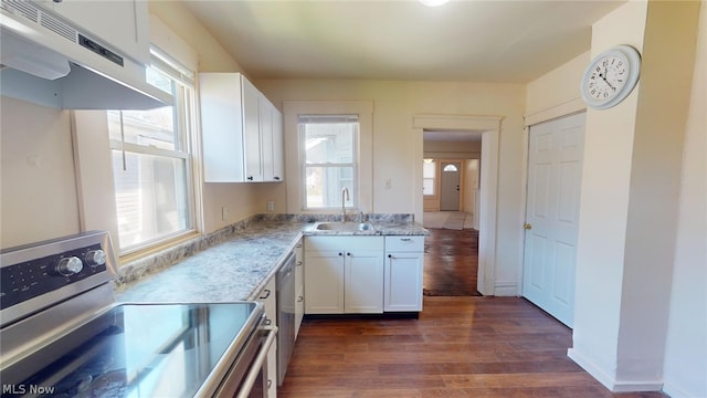 kitchen with stainless steel appliances, dark hardwood / wood-style flooring, sink, and white cabinets