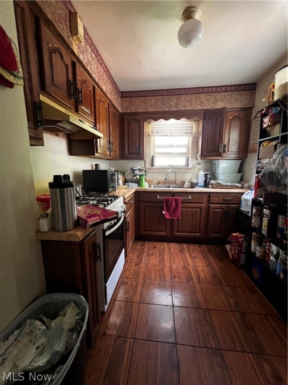 kitchen featuring range with gas stovetop and sink