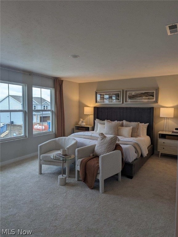 bedroom with carpet and a textured ceiling