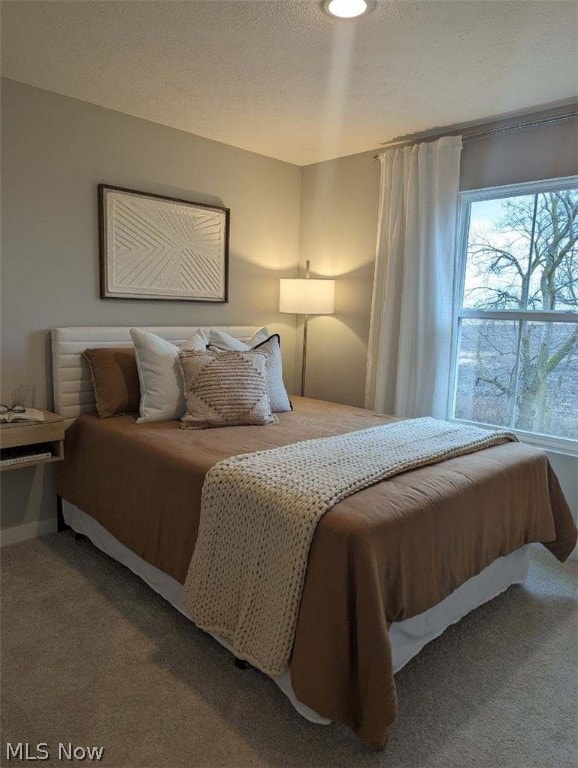 bedroom with carpet floors and a textured ceiling