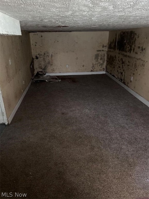 basement with carpet floors and a textured ceiling