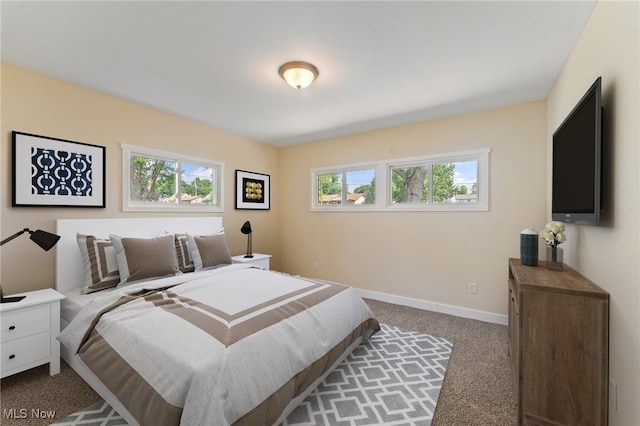 bedroom with carpet and multiple windows