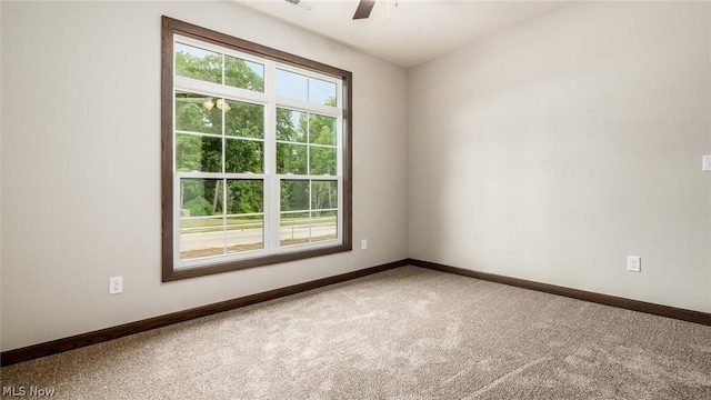 spare room with ceiling fan and carpet flooring