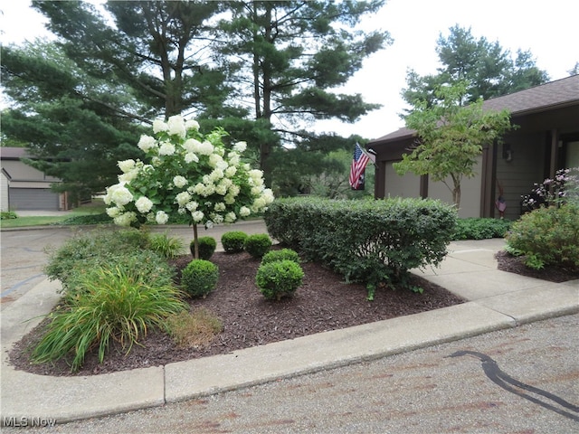 view of yard with a garage