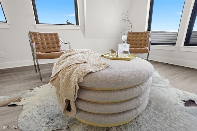 interior details featuring baseboards and wood finished floors