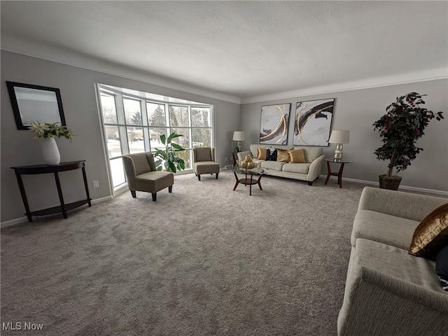 living area featuring baseboards and carpet flooring