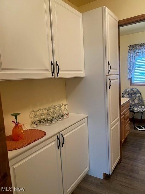 interior space with dark hardwood / wood-style floors and white cabinets