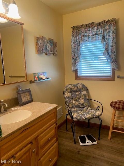 bathroom with vanity and wood-type flooring