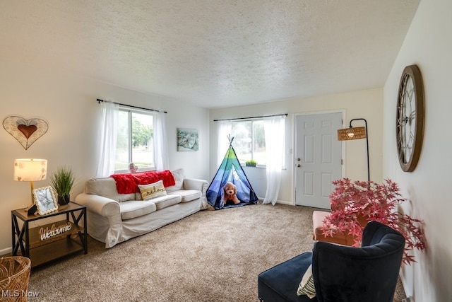 carpeted living room with a textured ceiling