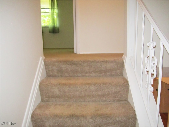 staircase with carpet flooring