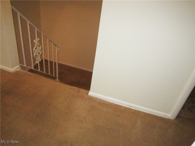 stairway featuring carpet floors