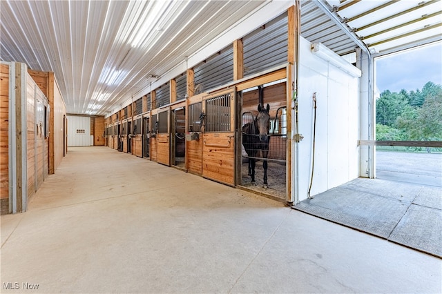 view of horse barn