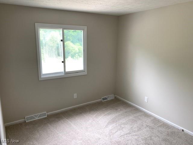 unfurnished room featuring a textured ceiling and carpet