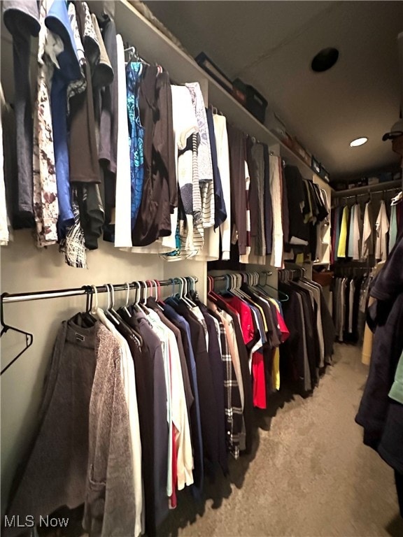 spacious closet featuring carpet flooring