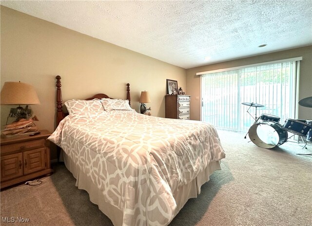 bedroom featuring access to exterior, a textured ceiling, and carpet