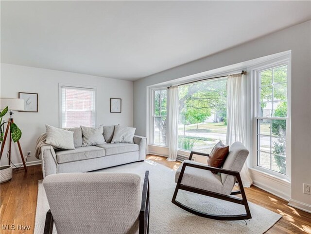 living room with plenty of natural light and hardwood / wood-style flooring