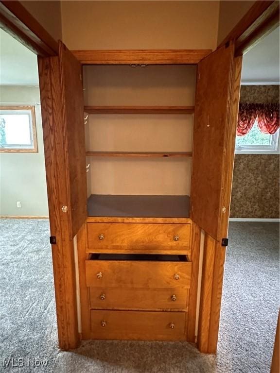 view of closet