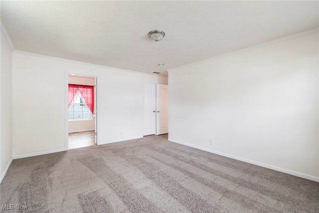 empty room with carpet flooring and crown molding