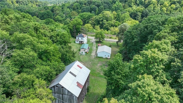 bird's eye view