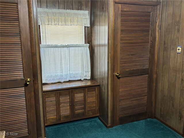 interior space featuring carpet floors and wooden walls