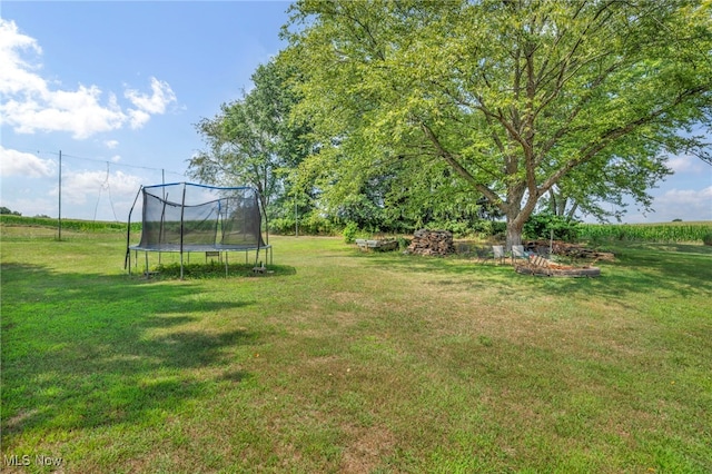 view of yard featuring a trampoline