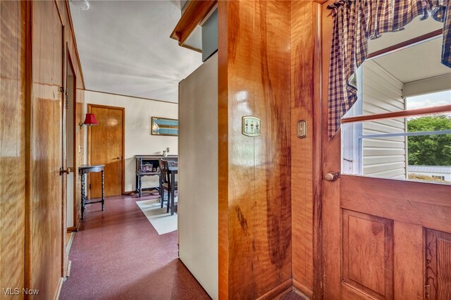 hallway featuring carpet floors