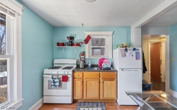 kitchen featuring light hardwood / wood-style flooring and white appliances