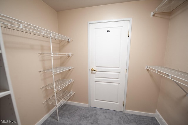 spacious closet featuring carpet floors