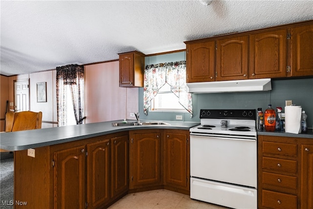 kitchen featuring kitchen peninsula, ornamental molding, a textured ceiling, sink, and white electric stove