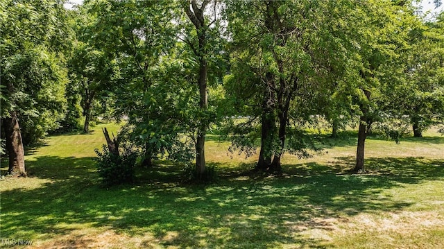 0 3rd St, Williamstown, WV 26187 - photo 29