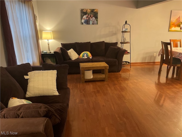 living room featuring wood-type flooring