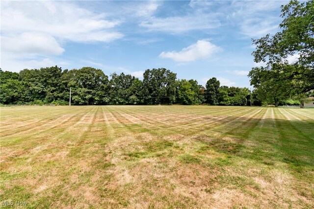 view of yard with a rural view