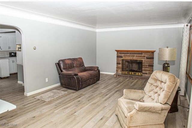 living room with a fireplace and light wood-type flooring