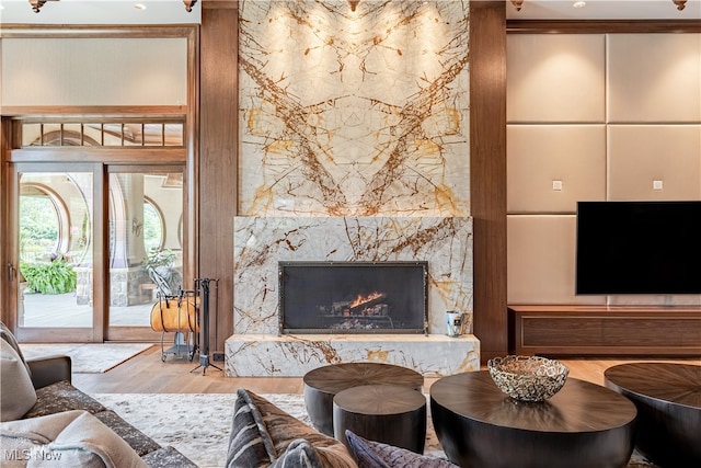 living room featuring a fireplace and light wood-type flooring