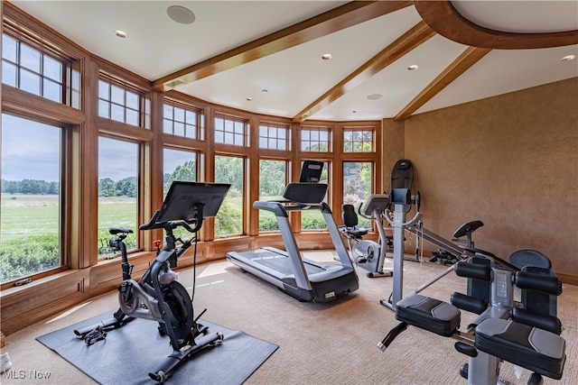 exercise area with vaulted ceiling, light carpet, and plenty of natural light