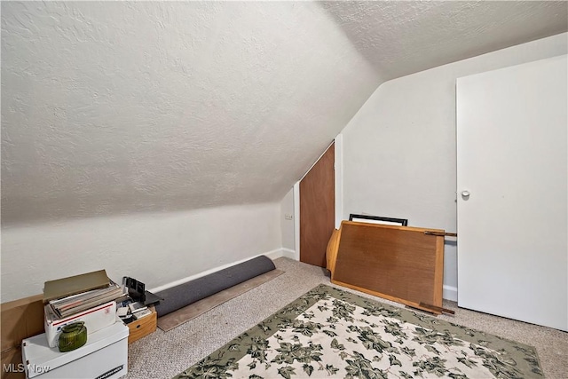 additional living space with light carpet, a textured ceiling, and lofted ceiling