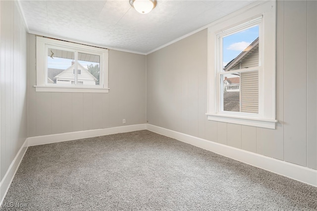 empty room with ornamental molding, carpet flooring, and a textured ceiling