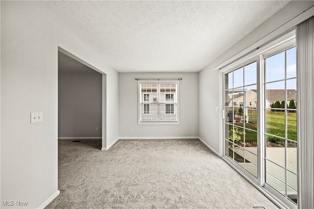 empty room featuring a wealth of natural light, carpet floors, and a textured ceiling