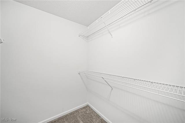 walk in closet with carpet flooring