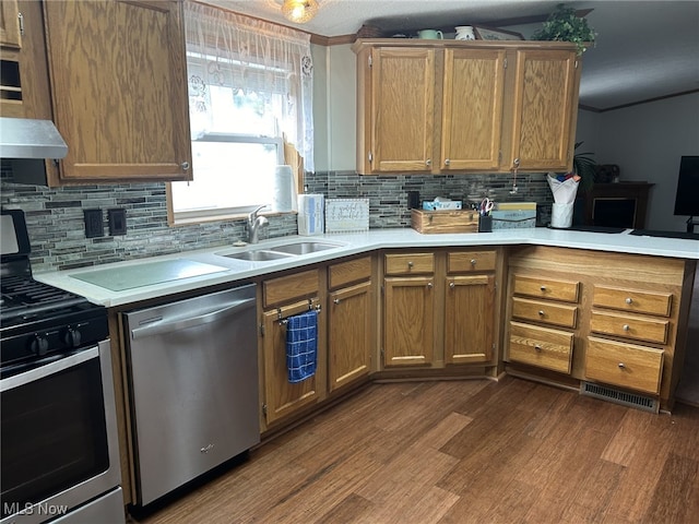 kitchen with sink, stainless steel appliances, tasteful backsplash, wood-type flooring, and wall chimney exhaust hood