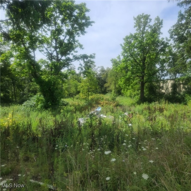 41310 Brown Rd, Bethesda OH, 43719 land for sale