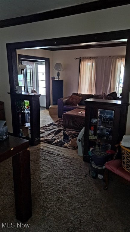 living room with carpet floors