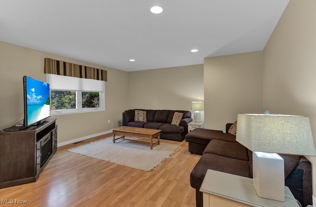 living room featuring light wood-type flooring