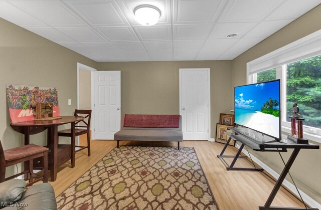 living room with light hardwood / wood-style flooring