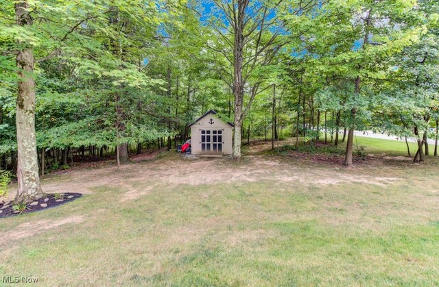 view of yard featuring a shed