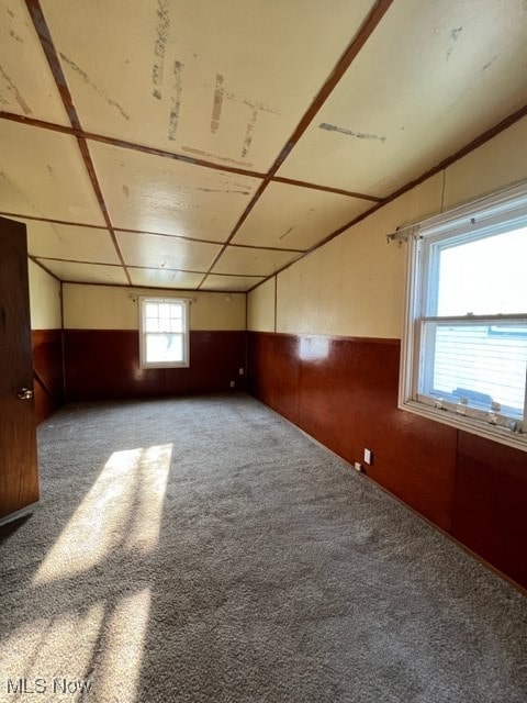 additional living space featuring carpet floors